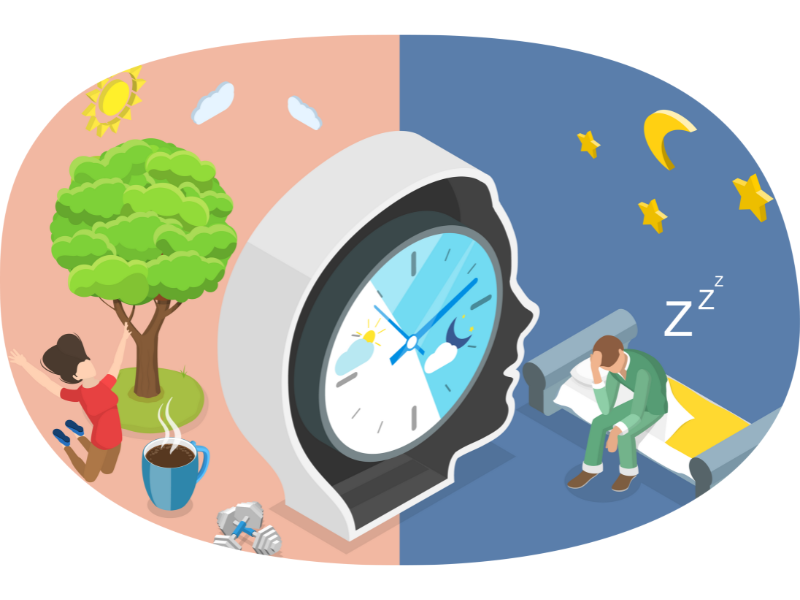 A circadian rhythm infographic showing how someone can fix their light exposure