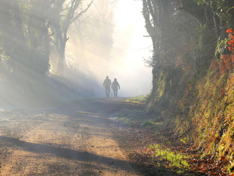 two people walking on a country road in the sunrise, with some fog