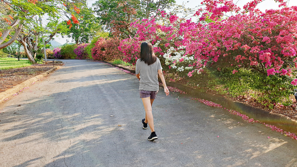 Woman going for a walk first thing in the morning to reset her circadian rhythms by getting morning sunlight. Flowers in the background