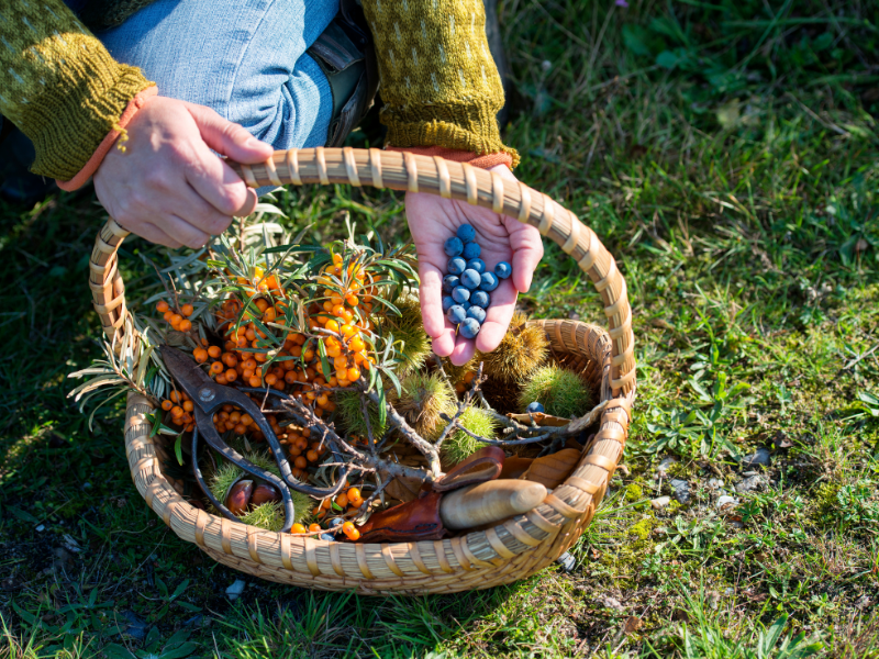 Woman carrying a basket full of fresh produce with grass in the background