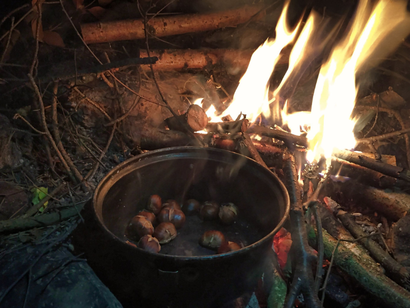 open-fire cooking